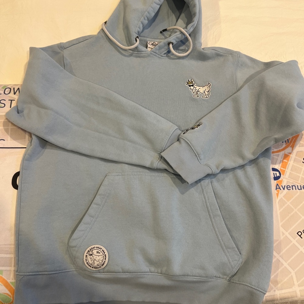 Light Blue Hoodie with Embroidered Design